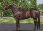 Fed Biz at WinStar Farm