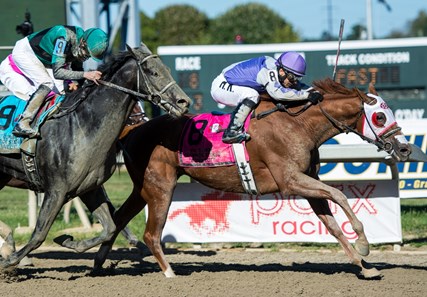 Page McKenney wins the Pa Derby Champion Stakes at Parx on September 23rd, 2017.