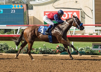 Miss Sunset wins the 2017 C.E.R.F. Stakes