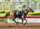 Princess Karen wins the 2017 Beverly J. Lewis Stakes