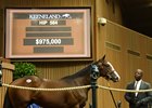 Hip 564, a $975,000 colt by Will Take Charge, was bought by Willis Horton