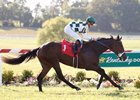 Daddys Lil Darling captures the Dueling Ground Oaks in course-record time