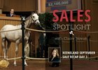 Keeneland September Sale Recap Day 3