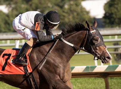 It's the Journey wins the 2017 Challedon Stakes