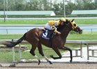 Soutache, a son of Backtalk, winning the In Reality Stakes earlier this year