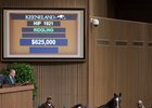 Hip 1921, a ridgling by Verrazano tops the sixth session of the Keeneland September sale