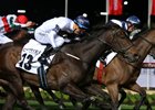 She Will Reign gets up in the final strides to win the Moir at Moonee Valley