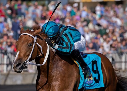 Moms Choice winning The Avers Wexler Memorial Stakes at Arlington International on September 9th 2017, jockey Santo Sanjur up