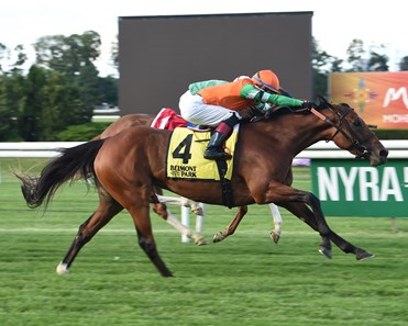 Rubilinda wins the 2017 Christiecat Stakes