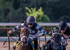 Mr. Misunderstood (outside) turns for home in the Super Derby Sept. 9 at Louisiana Downs