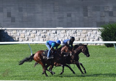 Lady Aurelia (outside) working in company with Childhood at Keeneland Sept. 26