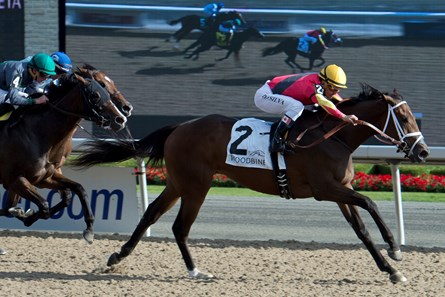 Shamrock Rose wins the 2017 Ontario Debutante Stakes