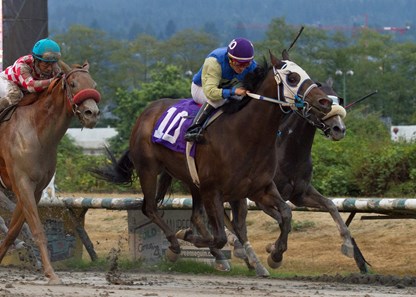 Wise Market wins the Jack Diamond Futurity on 09/09/17 with rider Amadeo Perez