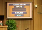 Hip 342, an Into Mischief colt, brings $750,000 at the Keeneland September yearling sale