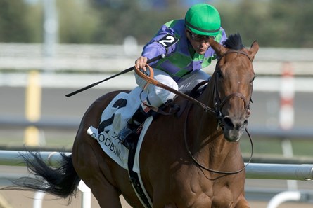 Silent Sonet wins the 2017 La Prevoyante Stakes