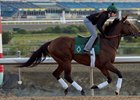 Long On Value at Woodbine in September