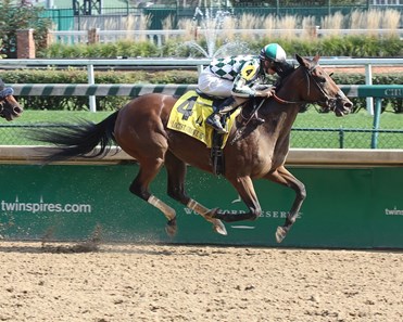 Romantic Vision wins the 2017 Locust Grove Stakes