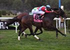 Harmonize wins the 2017 Glens Falls Stakes