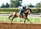 Captivating Moon works at Keeneland Sept. 30