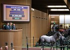 Hip 1038, a filly by Tapit out of Believe You Can