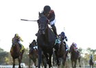 Beach Patrol leads the field home in the Joe Hirsch Turf Classic Stakes