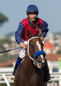Miss Sunset wins the 2017 C.E.R.F. Stakes