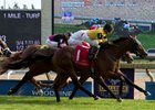 Untamed Domain passes Hemp Hemp Hurray in the final strides of the Summer Stakes Sept. 17