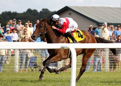 My Impression wins the 2017 One Dreamer Stakes