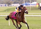 Wise Gal becomes her sire's first black-type winner in the Selima Stakes at Laurel Park