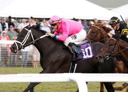 Hogy wins the 2017 Kentucky Downs Turf Sprint