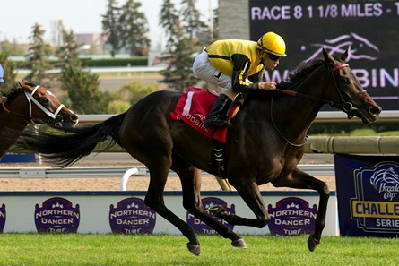 Junior Alvarado guides Quidura to victory in the 2017 Canadian Stakes at Woodbine Racetrack.