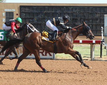Redneck Humor wins the 2017 Premier Cup Stakes