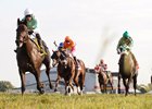 Kentucky Downs again enjoyed large fields