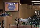 The Keeneland September session topper Sept. 20, a daughter of first-crop sire Atreides