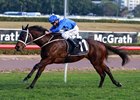 Winx charges to victory in the Chelmsford Stakes at Randwick