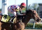 Awesome Slew wins the 2017 Ack Ack Stakes at Churchill Downs