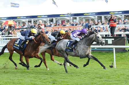 Capri ridden by Ryan Moore wins the William Hill St Leger Stakes