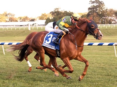 Just Howard wins the 2017 Commonwealth Derby
