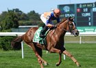 Off Limits speeds to victory in the Noble Damsel