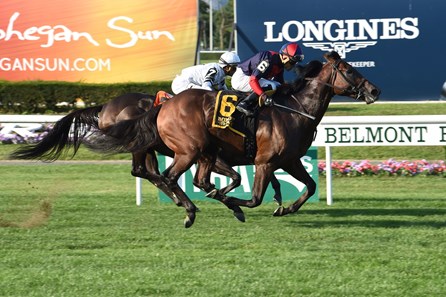 White Flag wins the 2017 Allied Forces