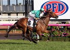 Humidor wins the Makybe Diva Stakes at Flemington