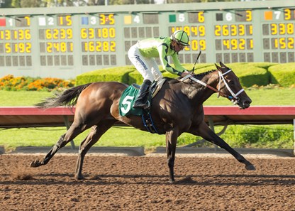 Princess Karen wins the 2017 Beverly J. Lewis Stakes