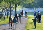 Keeneland September sales scenes.
Sept. 9, 2017 in Lexington, Kentucky.