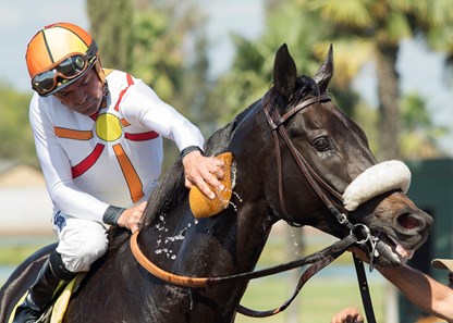 Soi Phet wins the 2017 E.B. Johnston Stakes