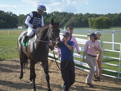 Miss Temple City is led to the winner's circle after capturing the 2017 Kentucky Downs Ladies Turf on Sept. 9 with Hall of Fame jockey Edgar Prado aboard. Her trainer, Graham Motion, is at the rear on the right.