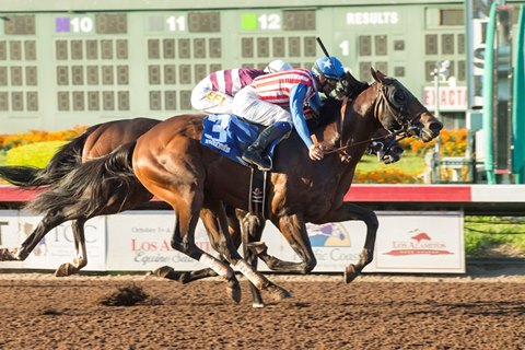 Run Away wins the Barretts Juvenile Stakes
