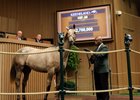 The $2.7 million sale topper (Hip 69) was one of three yearlings by Tapit to sell for more than $2 million