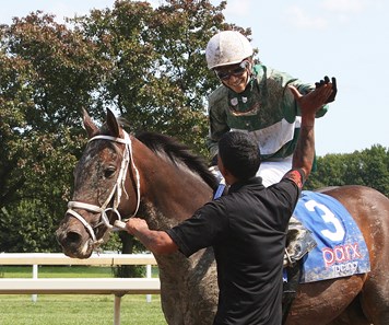 Jockey Johan Rosado #3 aboard Tripocha won his very first race ever on September 10, 2017 at Parx Racing in Bensalem, Pennsylvania. Johan defeated a field of 6 others including his own father Roberto Rosado. Second place was #1 Appealingmagic with Mychel Sanchez up.