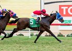 Sharp Samurai takes the Del Mar Derby by a half-length over Big Score