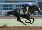 Arrogate works a half-mile at Santa Anita in :49 3/5 with Rafael Bejarano aboard